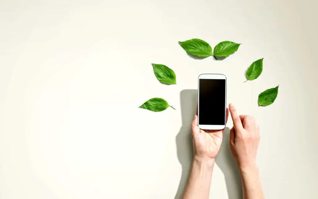Illustration for the article How To Integrate Sustainable Marketing Materials Into Your Business Strategy
