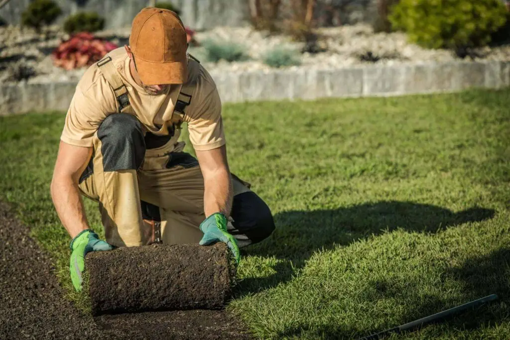 Illustration: Installing natural grass from roll