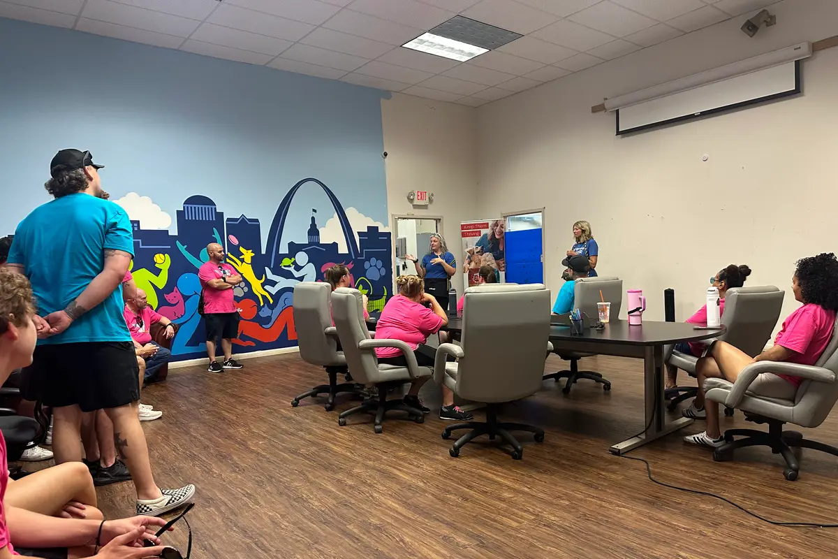 Volunteers in a nonprofit's meeting room